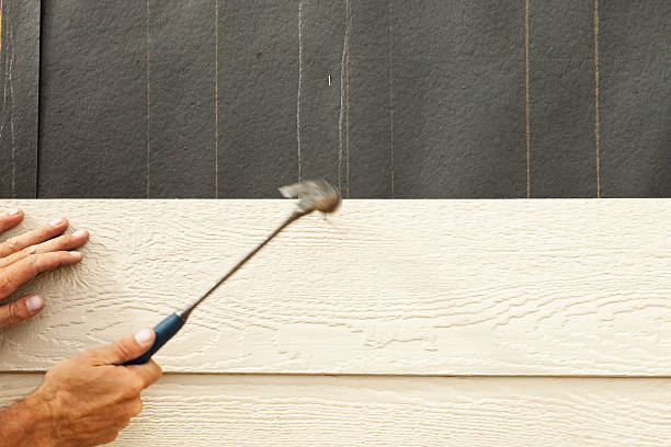 Best Aluminum Siding Installation  in Town N Country, FL